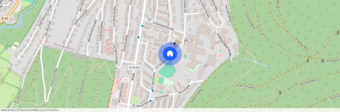 Im Spitzerfeld, 69151 Baden-Württemberg - Neckargemünd