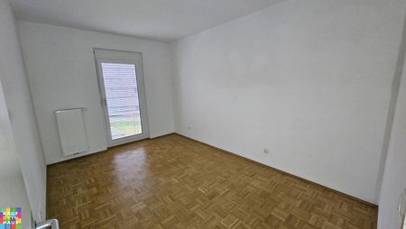 PROVISIONSFREI! - Photo 4