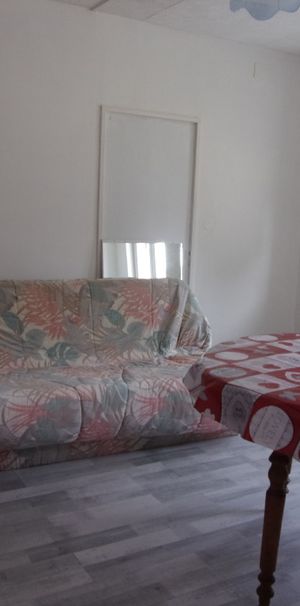 Location Appartement 1 pièce 30m² CAUDEBEC LES ELBEUF 76320 - Photo 1