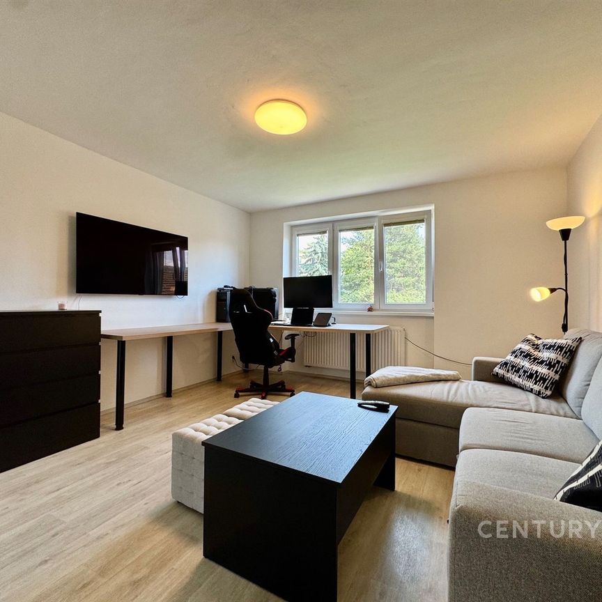 Pronájem bytu 2+1 57 m², Došlíkova 2251, Brno - Photo 1
