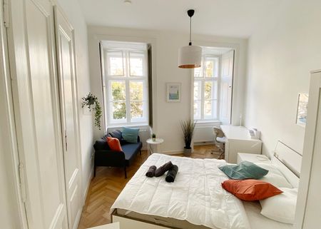Große Neugasse Top 8 Zimmer 3 - Photo 5