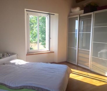 Magnifique appartement de 5.5 pièces situé au rez-de-chaussée - Photo 4