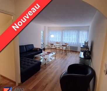 Location appartement rénové 3 pièces 77 m² à Saint-Julien-en-Genevo... - Photo 6