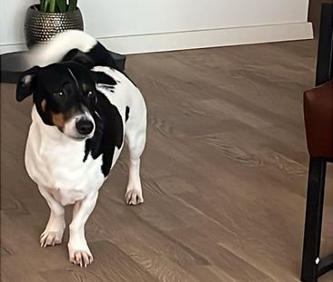 19qm Zimmer in 89qm Wohnung (Berufstätigen-WG) - Photo 1