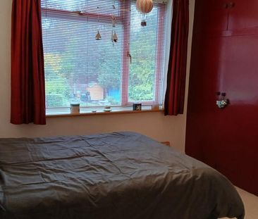 Mature landlady seeking mature professional female - Photo 3