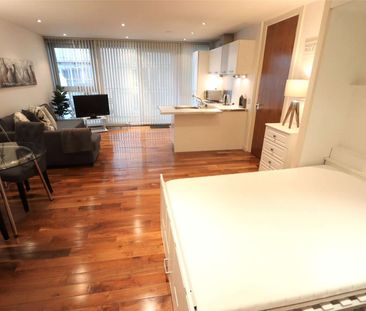Fully Furnished 7th floor Studio Apartment situated on the banks of... - Photo 6