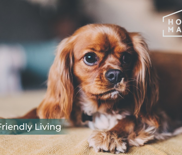 3 bedroom flat to rent - Photo 5