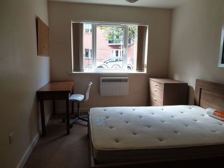 Caister Hall Apartment 22 - Photo 5