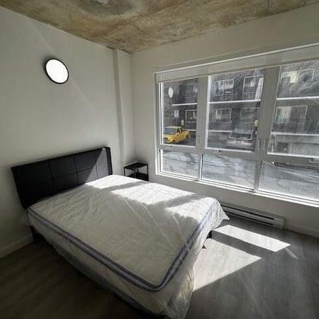 ENSOLLEILLÉ - GRAND SPECTACULAIRE - 3 CAC FERMÉES - Photo 3