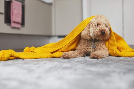 Patina Mansions, E20 1BT, London - Photo 3