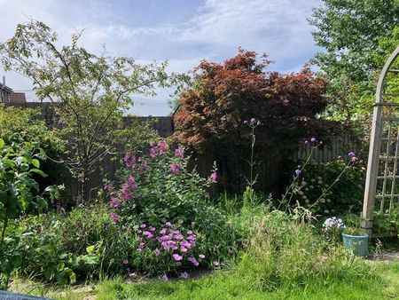 Lovely, quiet furnished double room overlooking back garden. - Photo 4