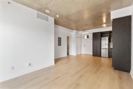 Appartement à louer - Montréal (Ville-Marie) (Centre) - Photo 4