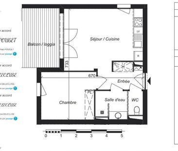 Location Appartement 2 pièces 41m² AUCAMVILLE 31140 - Photo 2