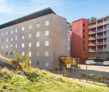 Småbrukets backe 50 - Foto 3