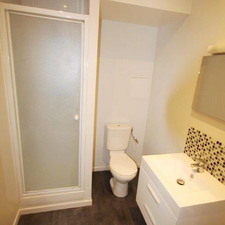 Location Appartement 1 pièce 14m² LILLE 59000 - Photo 4