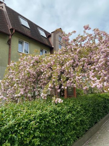 DUŻA KAWALERKA NA WYNAJEM NA WARSZEWIE - Photo 3