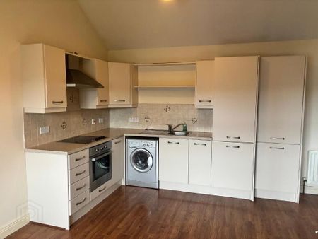 5 Frances House, 142 Frances Street, Newtownards, BT23 7DY - Photo 3