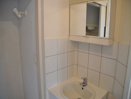 Appartement - 1 pièce - Jardin Lecoq/Facultés - Photo 3