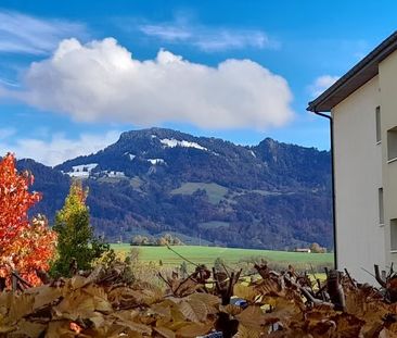 2.5 Zimmer, 49 m², EG - Photo 4