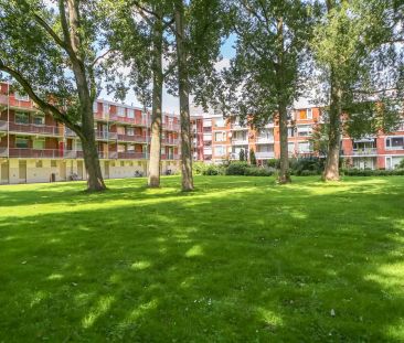 Appartement Wagenaarstraat 45, Delft - À louer - Photo 1