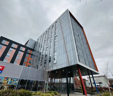 Deluxe Studio - Photo 2