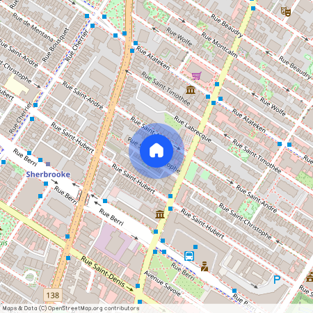 2051 Rue Saint-Christophe, Ville-Marie, Ville-Marie, Ile de Montréal, H2L 1N8