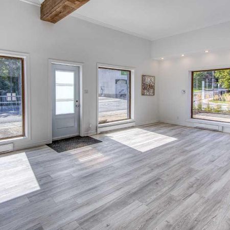 GRAND 4 1/2 PLESSISVILLE NOUVELLEMENT CONSTRUIT (Centre-ville) - Photo 3