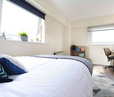 Bronze Room - Photo 6