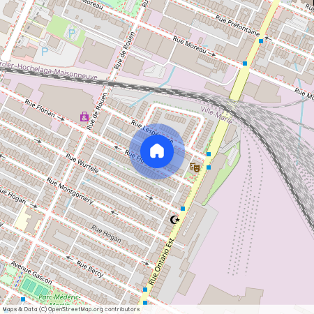 2081 Rue Florian, Ville-Marie, Ville-Marie, Ile de Montréal, H2K 1X7