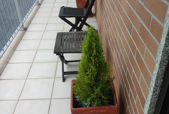 Apartamento T1 mobilado e equipado com garagem fechada. Glicínias!