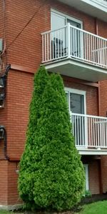 Beloeil grand 4 1/2 avec (2) stationnements déneigés ,entrée laveuse/sécheuse thermopompe, disponible pour le 1 Février 2026. - Photo 4