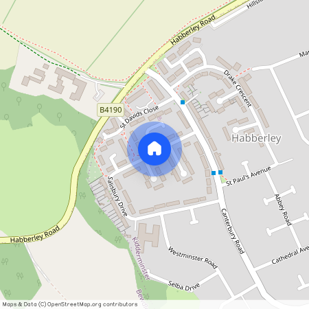 Salisbury Drive, Kidderminster