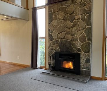 69 Grove StreetTinwald - Photo 6