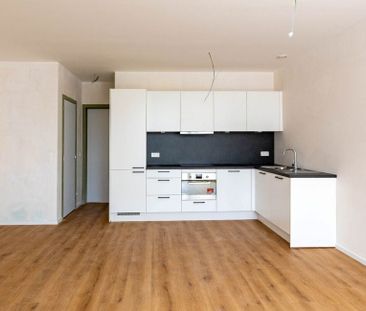 Appartement te huur in Borgerhout voor € 895 met 1 slaapkamer - Photo 2