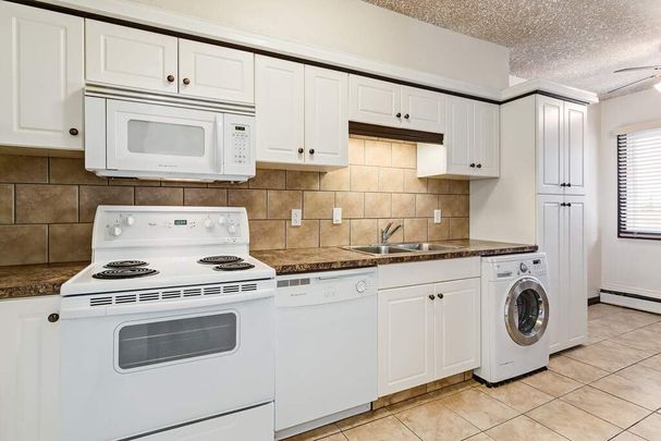 Renovated Suite - 1 Bedroom - Photo 1