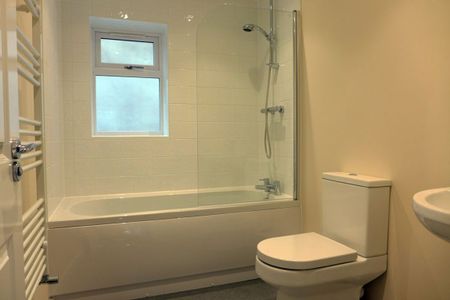 Brick Kiln Street, Quarry Bank, DY5 - Photo 4