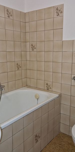 Ground floor studio for one person - Photo 1