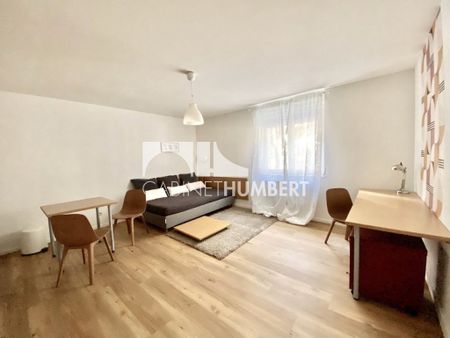 Location Appartement 1 pièce 27m² ST ETIENNE 42000 - Photo 3