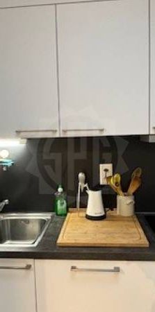 Appartement Lumineux - Genève - Foto 1