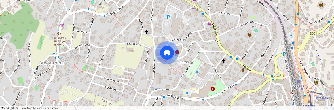 via Breganzona 15, 6900 Lugano, Svizzera