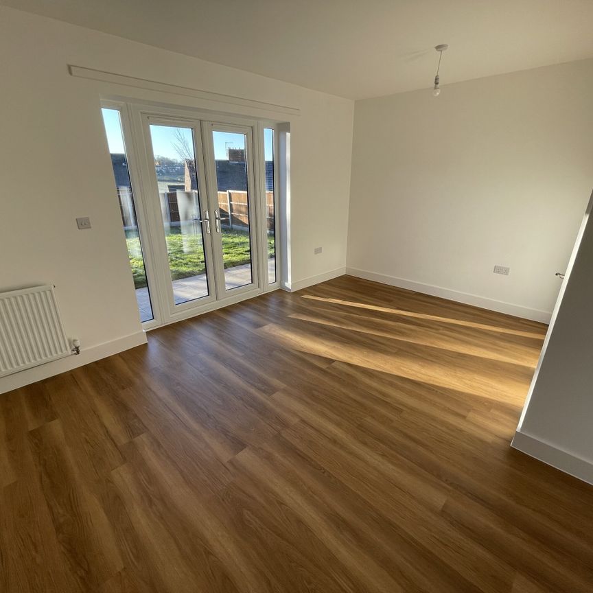 The Hawking - Photo 1