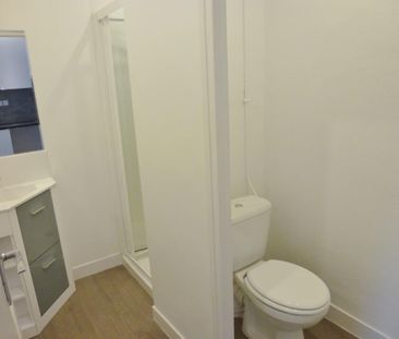 Location Appartement 1 pièce 19m² ST MAUR DES FOSSES 94210 - Photo 3