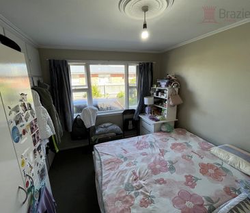 50 Rountree Street, Upper Riccarton - Photo 6