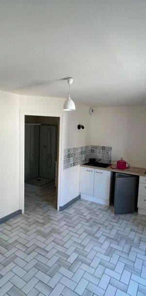 Appartement à louer 1 pièce 18.43m² - Photo 1