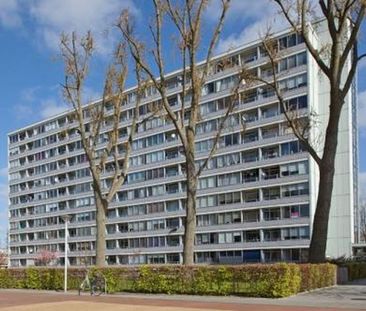 Plein 1953 3086 Rotterdam - Foto 2
