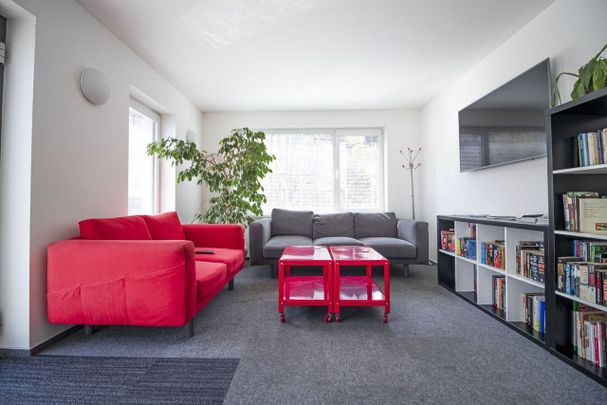 Apartment for rent, 1+KK - Studio, 40m - Photo 1
