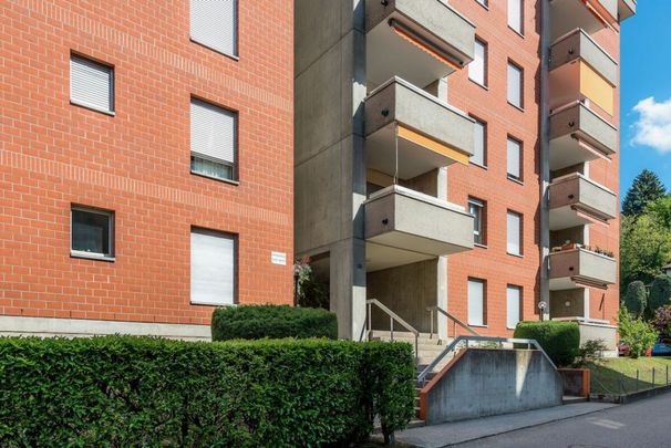 2.5 Zimmer, 53 m², 1. Stock - Foto 1