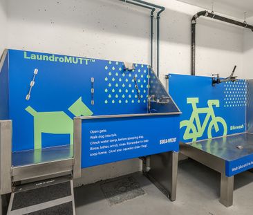 1008 Pandora Avenue, Victoria - Photo 2