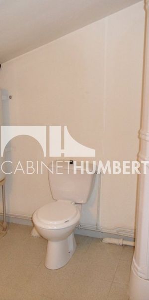 Location Appartement 1 pièce 18m² ST ETIENNE 42000 - Photo 1