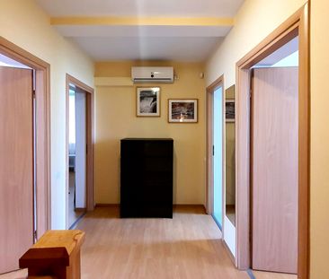 Casa de inchiriat in zona Nord-Irish Park, Ploiesti, judetul Prahova - Fotografie 2